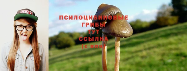 apvp Балахна